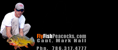 Capt. Mark Hall with a nice miami peacock bass